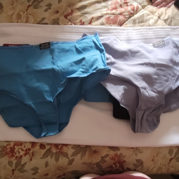 (4X) Voglio Brief Panties - Picture 2 of 4